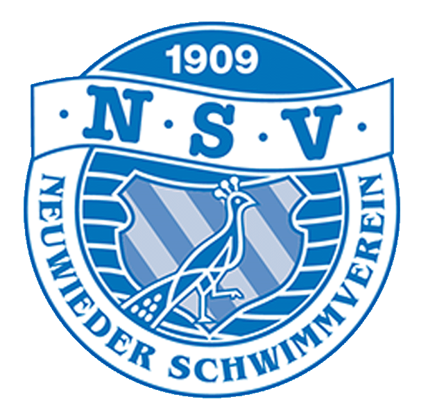 nsv09 logo